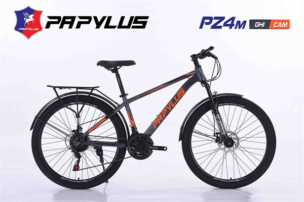 Xe đạp địa hình thể thao Papylus PZ4 New